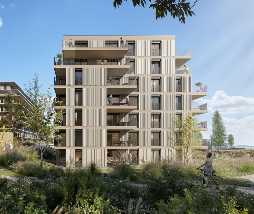 Les immeubles seront implantés dans un parc végétalisé. (Image : CCHE Lausanne)