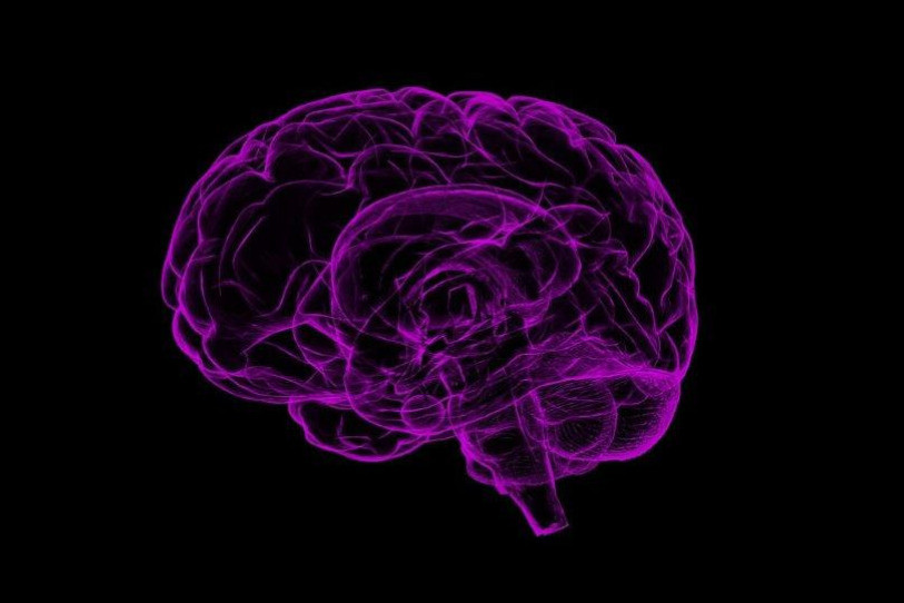 La limite entre maladie et vieillissement naturel est fine. (Image : ldd)
