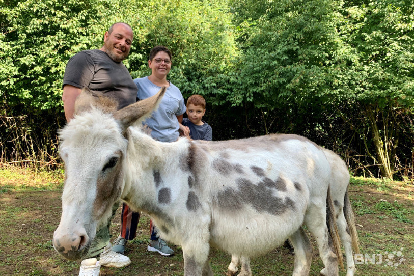 La famille Coppola accueille désormais trois ânes miniatures à Grandfontaine.