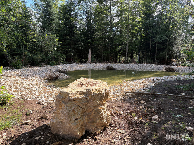 Deux étangs ont été aménagés au sud du Bois-du-Couvent, à La Chaux-de-Fonds. Le tracé de la piste Vita a été modifié en conséquence.