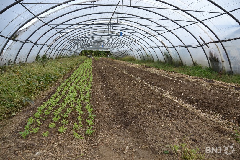 Depuis 2016, la Clé des Champs a entamé une transition vers la permaculture.