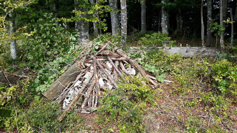 Cache à hermine, Photo: Parc du Doubs