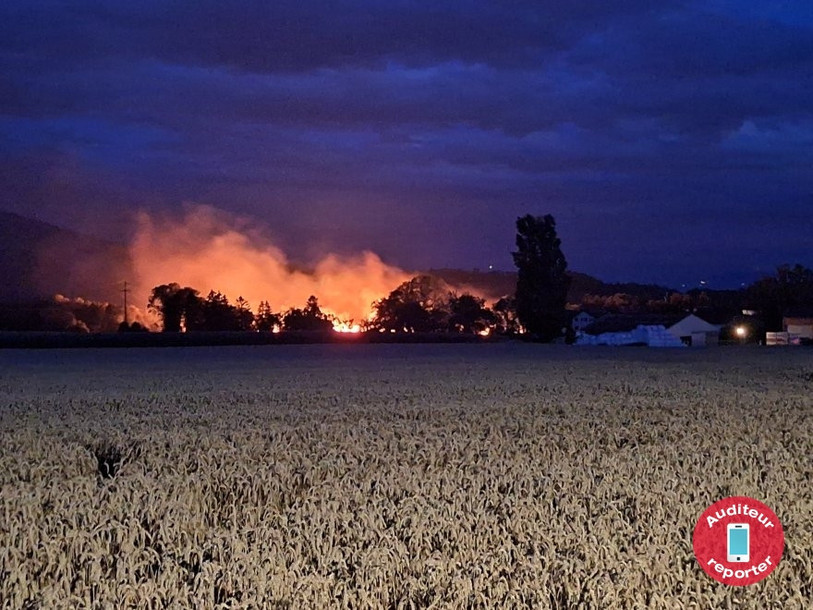 Les flammes ont ravagé 4 hectares de blé (Photo : Auditeur reporter)