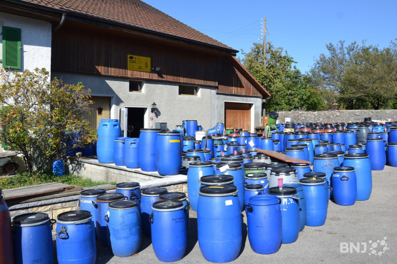 Les tonneaux s'accumulent devant la distillerie Schneider, en attendant que les fruits soient distillés.
