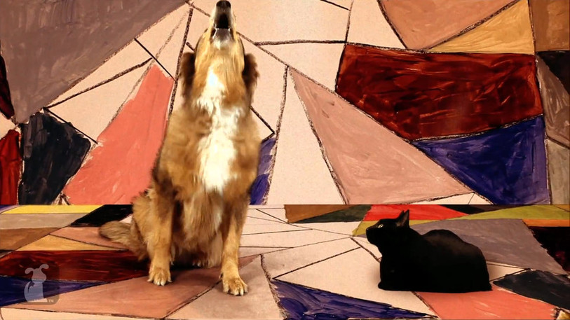 Gotye Dog Parody - Somebody That I Used To Know