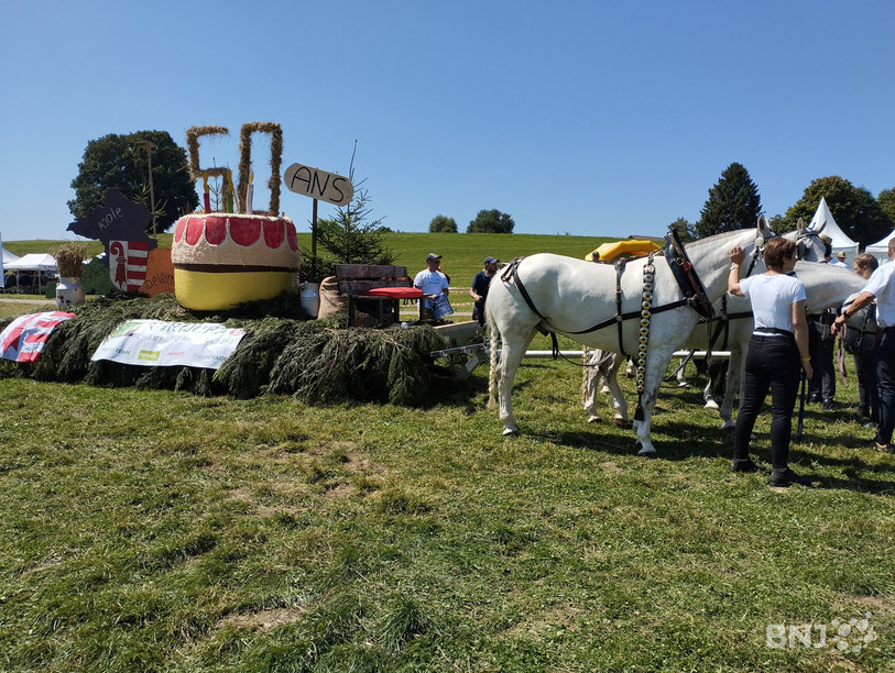 Le char a paradé sur le champ de course de la Halle-Cantine ce dimanche après-midi.