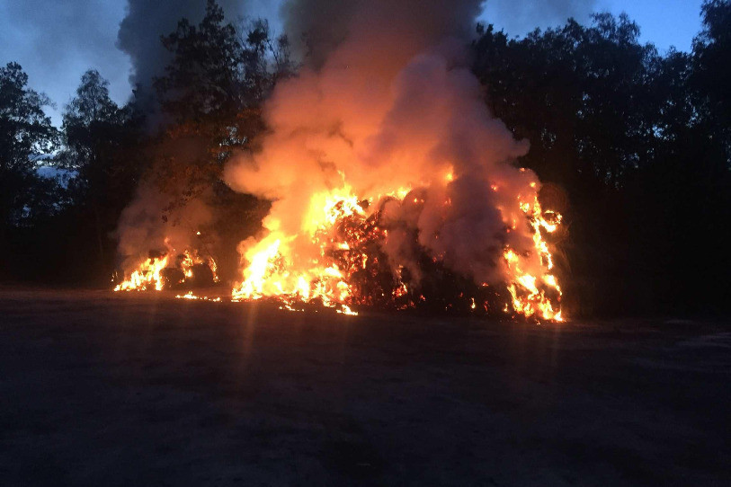 Des flammes à La Grande Cariçaie. (Photo: Police fribourgeoise).