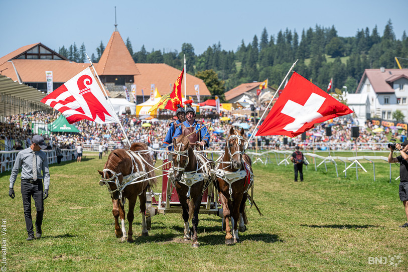 Le Parlement veut faire inscrire le cheval franches-montagne au patrimoine immatériel de l’UNESCO. (Photo : Jonathan Vallat.)