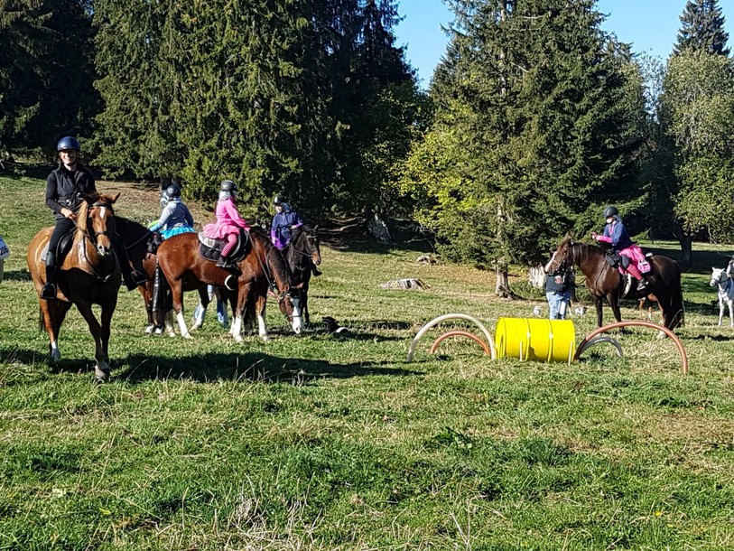 La course équestre n'aura pas lieu cette année dans les Franches-Montagne (Photo: Franches Equi Trail)