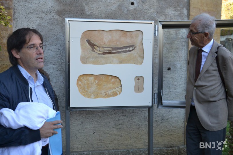 Le fossile d'un crâne de ptérosaure, entouré du directeur du Jardin botanique, Blaise Mulhauser, et d'un membre de l'association Amici Naturae.