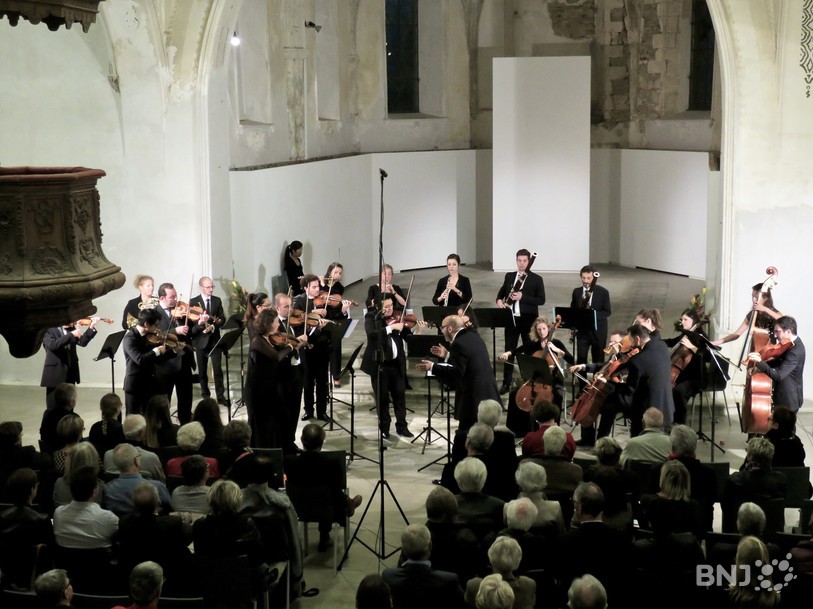 Orchestre Musique des Lumières
