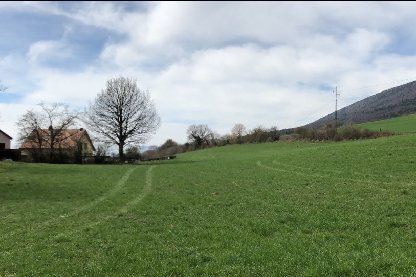 La douceur est de mise en cette fin d'année dans la région. (Photo : archives).