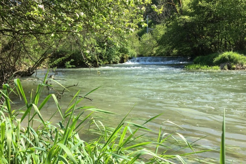Les objectifs généraux du projet de revitalisation de l’Allaine visent à l’amélioration des fonctions écologiques du cours d’eau et à rétablir la migration du poisson, en contournant le seuil présent sur ce tronçon.