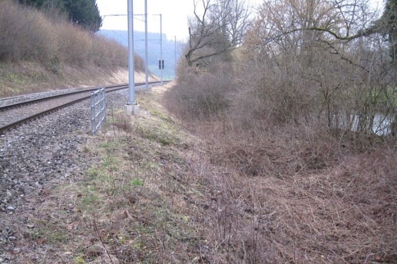 La nouvelle liaison cyclable longera la voie CFF. Elle sera d’une longueur de près 1,5 km entre Grandgourt et Buix.