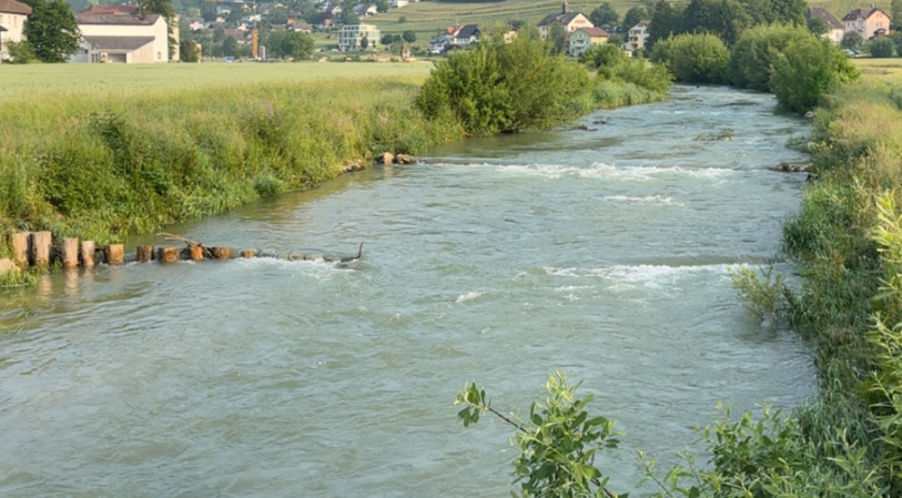 Selon le rapport du NAWA, il reste encore beaucoup à faire pour améliorer la qualité des eaux des cours d'eau en Suisse. Crédit photo : lvi