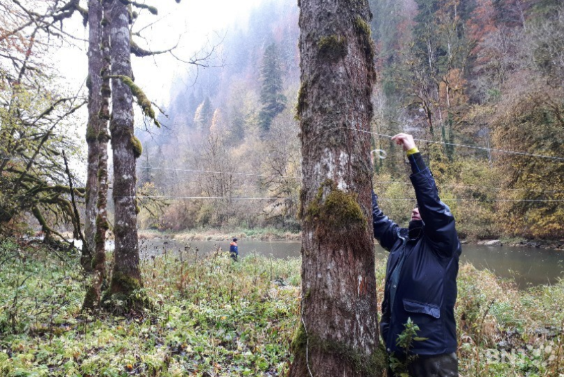 Les pêcheurs lors de la pose de fils en travers du Doubs. (Photo d'archives)