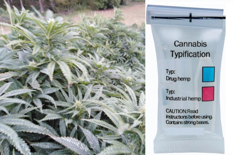 Les nouveaux tests rapides pour déterminer le taux de THC sont semblables à ce sachet. Si la substance est illégal, il se colore de bleu. (Photo: www.sicher-testen.ch)