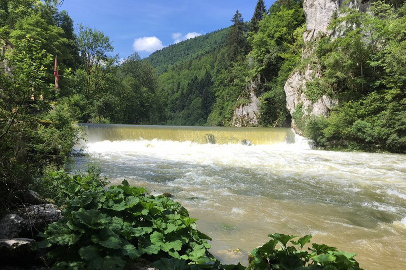 Les ONG jugent crucial de rétablir la circulation des poissons sur le Doubs et veulent démonter le barrage du Theusseret (image : archives)