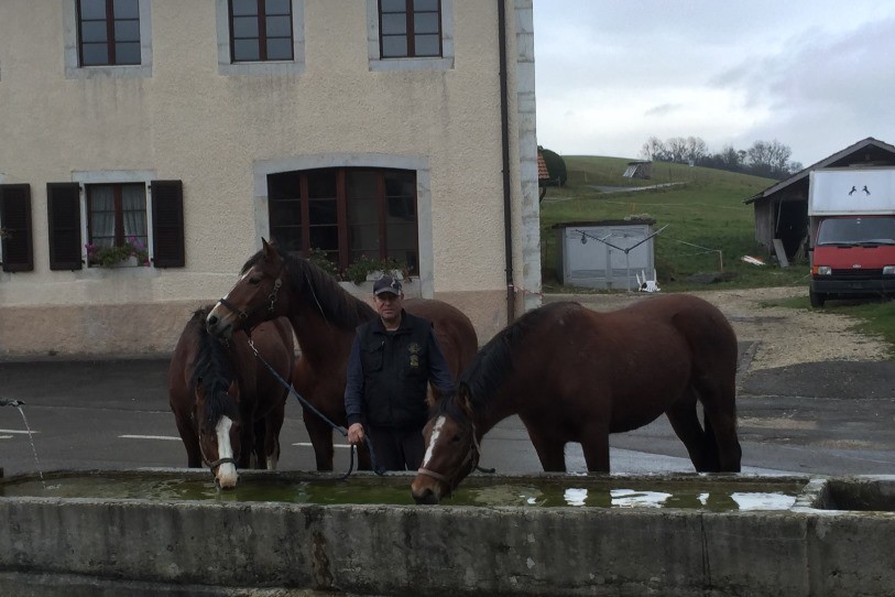 Michel Schaer sur la place du village où il amène boire ses chevaux. (photo : Michel Schaer)