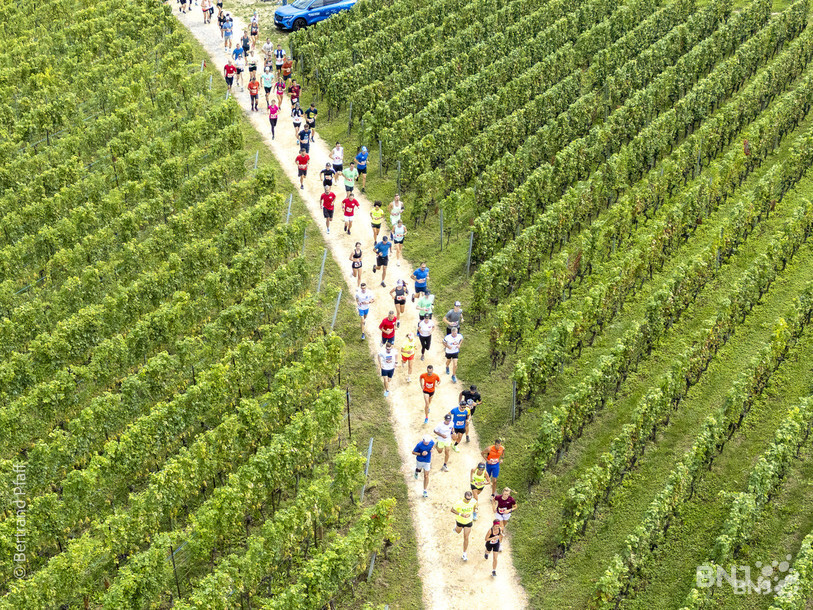 La Vendangeuse propose un parcours qui sort de l'ordinaire. (Photo archives : Bertrand Pfaff)