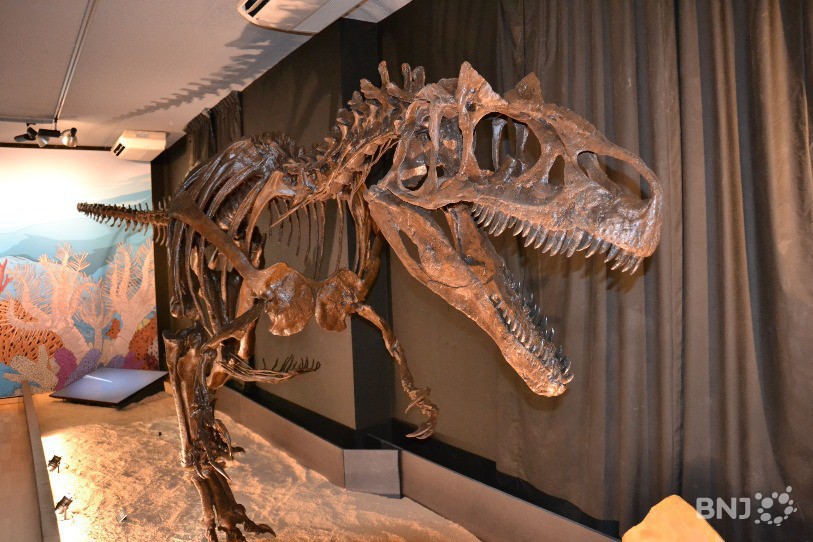 Comme les certitudes scientifiques qui entourent les dinosaures sont relativement peu nombreuses, les réalisateurs de films fantasment un certain nombre de détails. (Photo: archives)