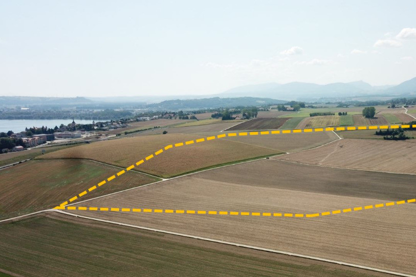 La future décharge des Echatelards doit s'étendre sur 56 hectares, entre les communes de Grandson et de Champagne. (photo : Biol Conseils)