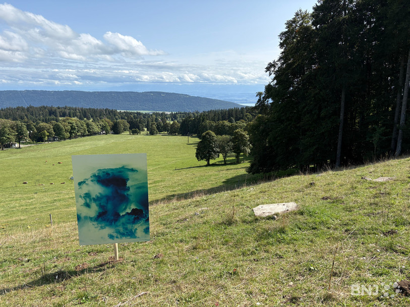 140 photographies sont disposées sur le parcours.