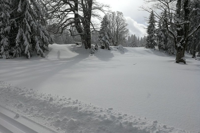 Dans les forêts taignonnes, le paysage peut parfois être féérique avec les skis de fond aux pieds.