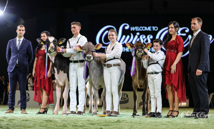 Les jeunes éleveurs se sont présentés lors du concours showmanship international. (photo: Swiss Expo)