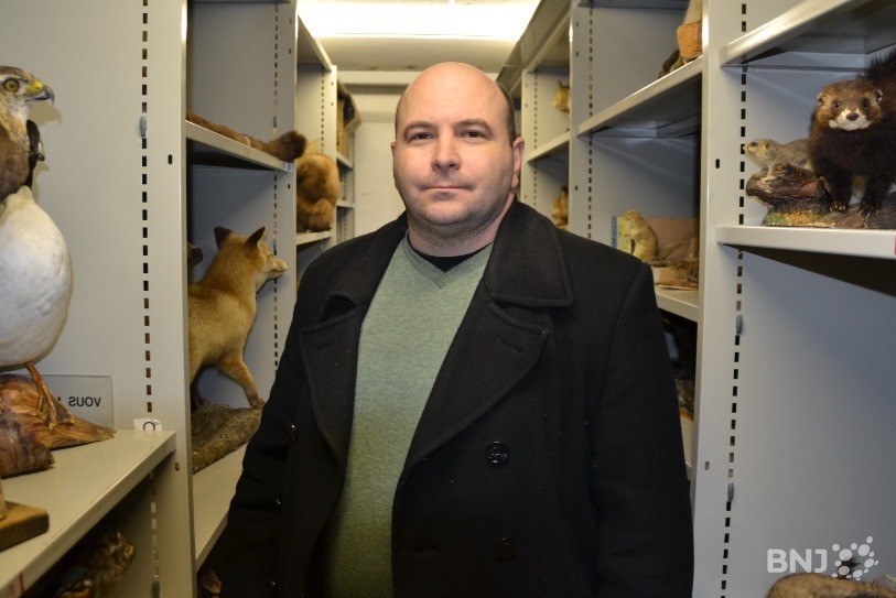Olivier Maridet, conservateur au Jurassica Museum de Porrentruy et chercheur en paléontologie