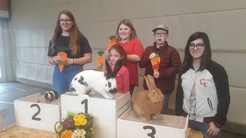 Des jeunes Jurassiens ont réalisés de bons résultats dans le canton d'Argovie (photo: Petits animaux Glovelier).