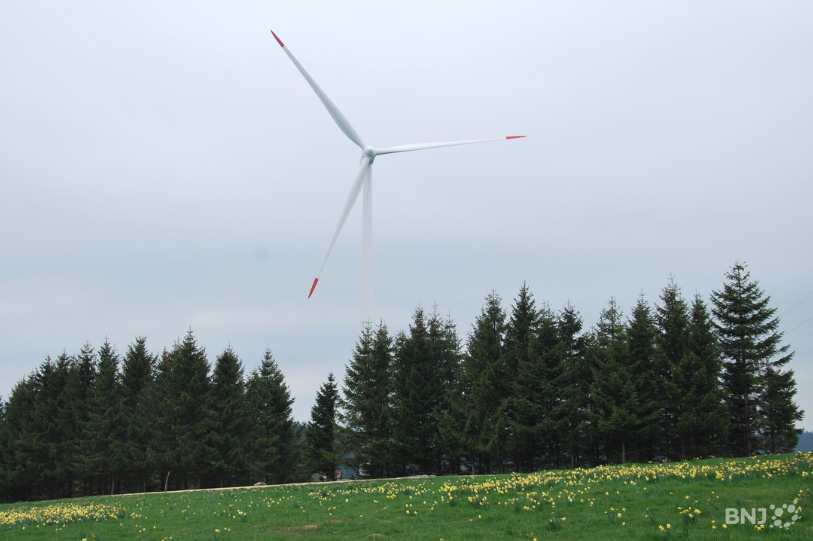 Le projet de parc des Quatre-Bornes prévoit la construction d'onze éoliennes entre Sonvilier et Val-de-Ruz