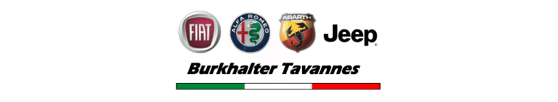 Logo Burkhalter