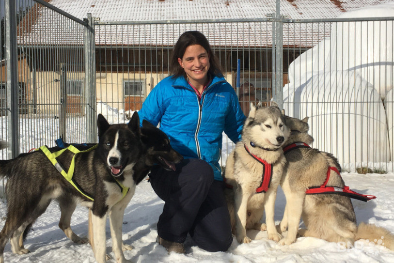 Brigitte Favre entraîne ses huskies de Sibérie à tirer un traîneau depuis qu'ils sont chiots.