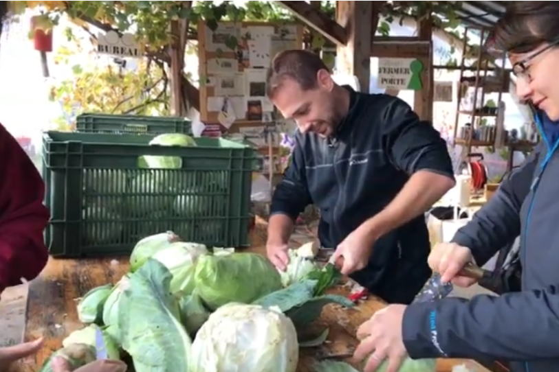 Les coopérateurs de La Clef des Champs en train de préparer de la choucroute. (Photo: La Clef des Champs)