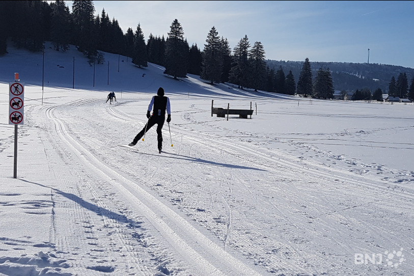 Les pistes de ski de fond n'ont pas connu un enneigement suffisant cette année. (Photo : archives)