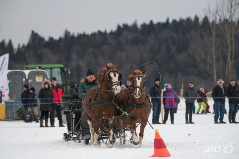 Sur 17 éditions, seules 8 journées équestres se sont déroulées sous la neige. (Photo d'archives : Jonathan Vallat)