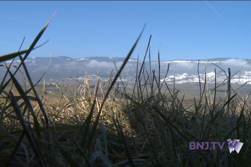 Le projet de future décharge de Grandson, qui doit occuper 56 hectares dans la zone des Échatelards, a essuyé 885 oppositions. (Photo d'archives)