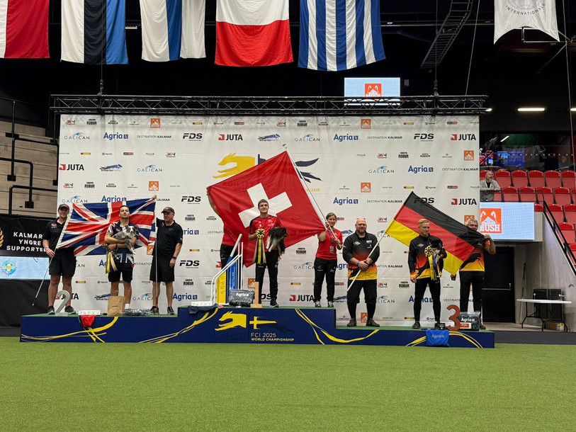 Simon Tabourat et Lewis sont devenus champions du monde d'agility. (Photo : Simon Tabourat.)