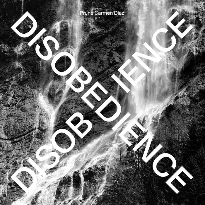 Prune Carmen Diaz, Disobedience (pochette)