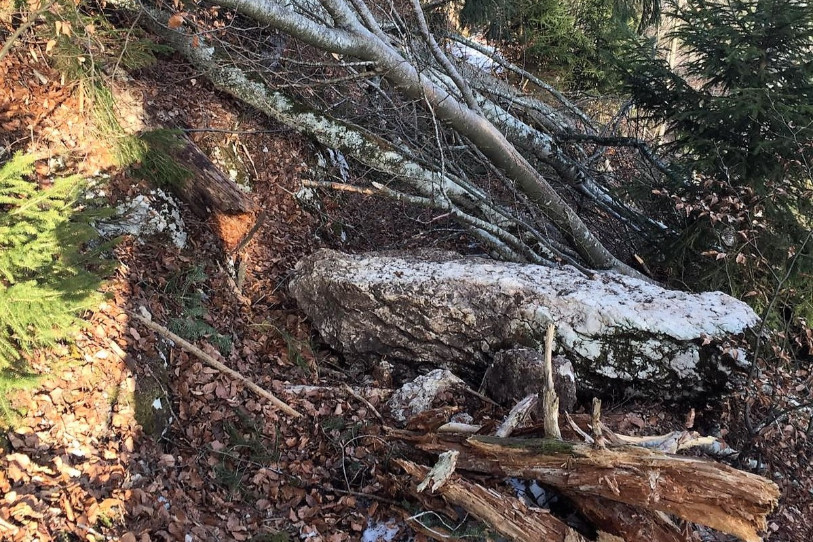 Un imposant rocher bloque le passage sur le sentier de la Brigade entre St-Imier et Mont-Soleil (photo: Pro St-Imier)