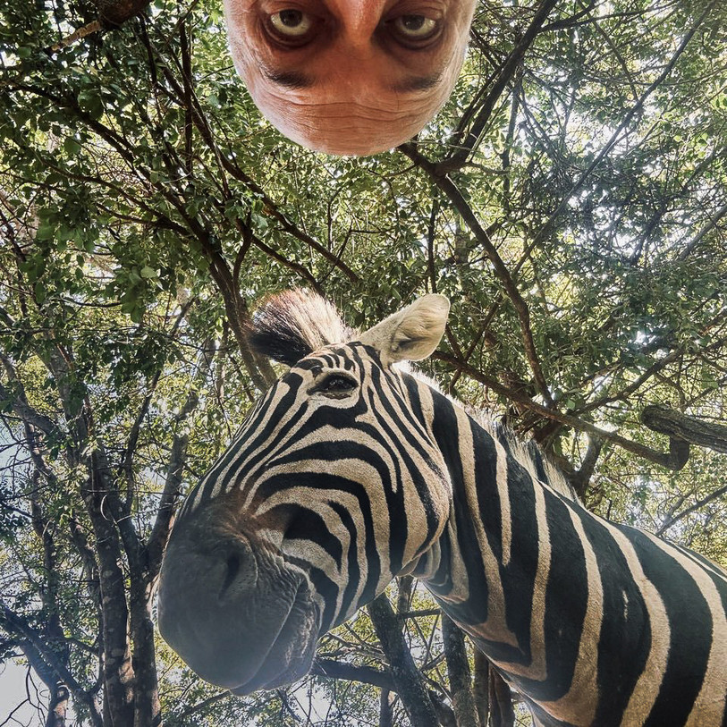 Christophe Meyer en Afrique