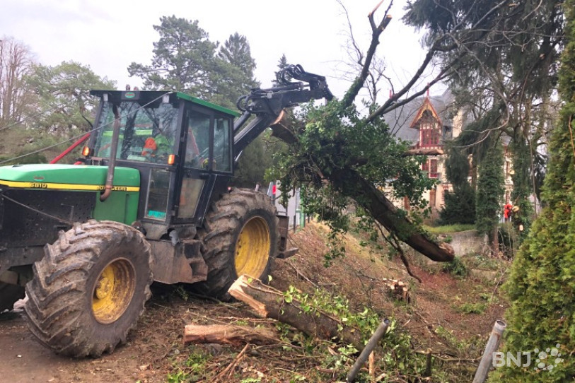 Première étape: l'abattage d'arbres devant ouvrir la voie au chantier du Théâtre du Jura.