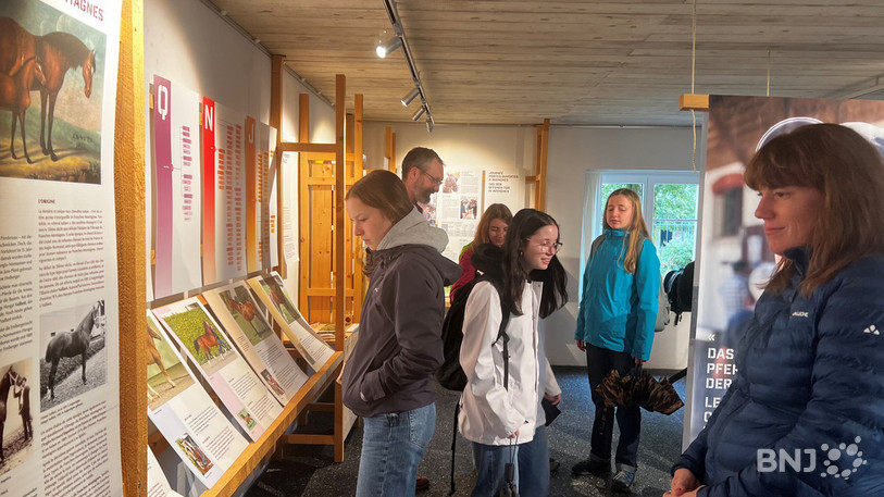 Les apprentis de la Confédération ont visité ce jeudi la Fondation pour le cheval aux Bois.