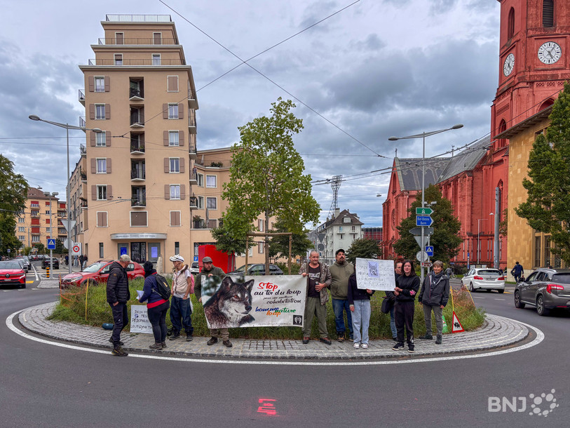 L'appel de Wolf Army Swiss a rassemblé une douzaine de manifestants pour rendre hommage au lynx Diego récemment abattu dans le canton de Neuchâtel.