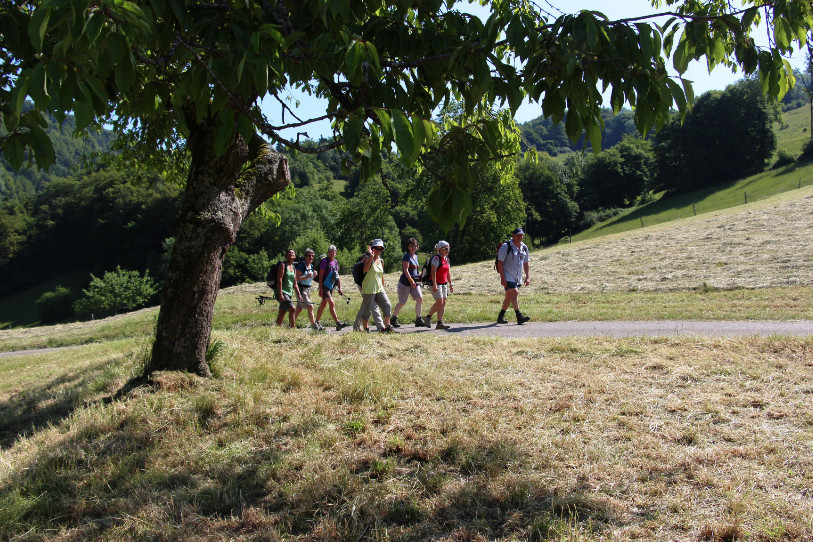 De l'effort avant une petite pause réconfort ? (Photo : Jura Rando)
