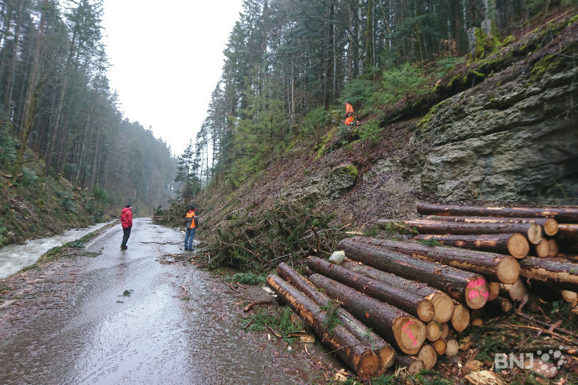 Les travaux ont débutés le 4 mars et doivent durer jusqu'à vendredi prochain.