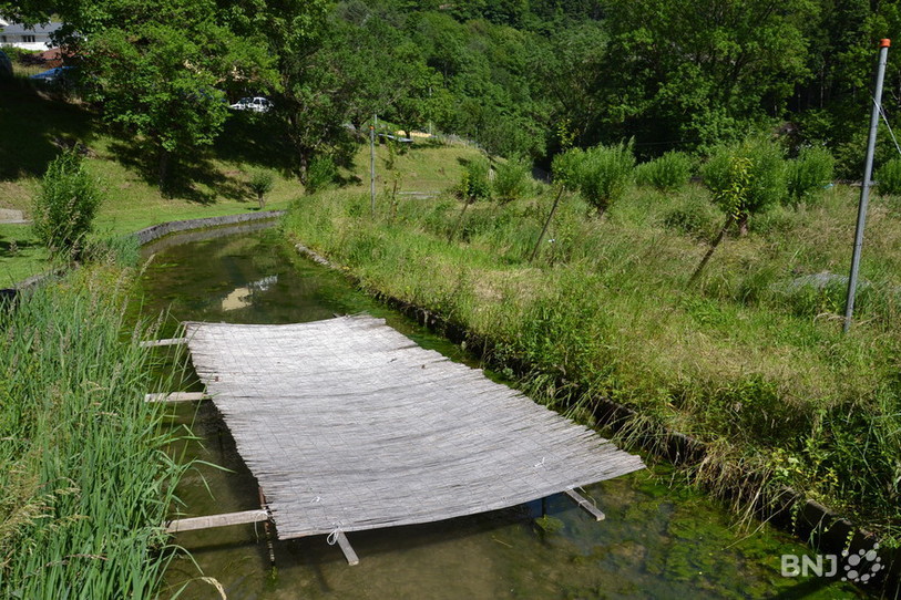 pisciculture frinvilier