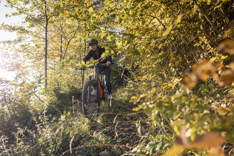 Le Gouvernement jurassien a adopté un plan pour encadrer la pratique du VTT. (Photo : République et Canton du Jura)