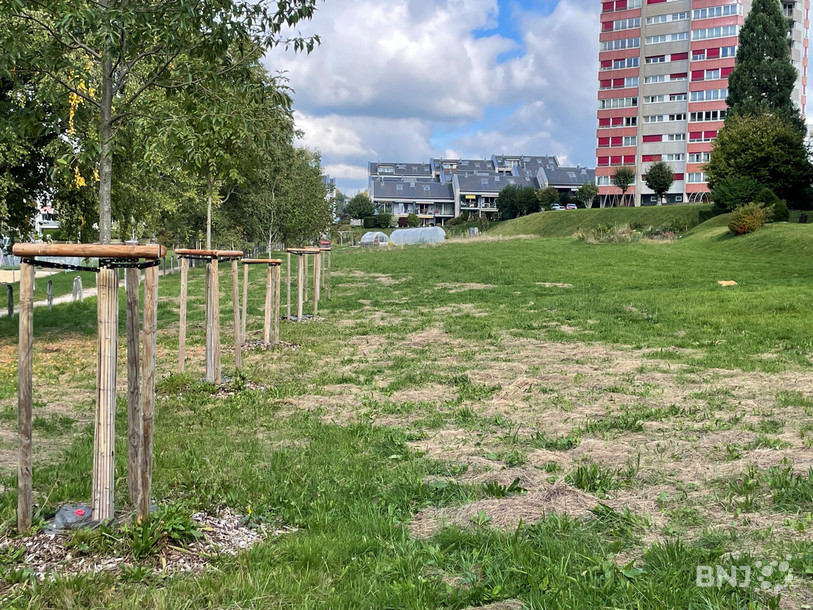 Le champ à côté du parc du Paddock à La Chaux-de-Fonds va accueillir la plus haute forêt comestible urbaine d'Europe.